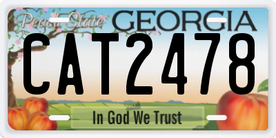 GA license plate CAT2478