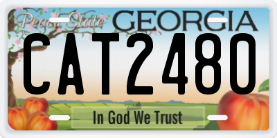 GA license plate CAT2480
