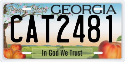 GA license plate CAT2481