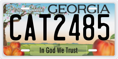 GA license plate CAT2485