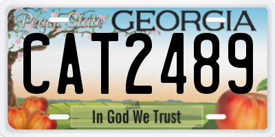 GA license plate CAT2489