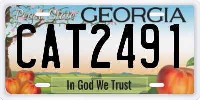 GA license plate CAT2491