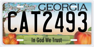 GA license plate CAT2493