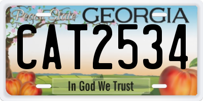 GA license plate CAT2534