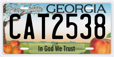 GA license plate CAT2538