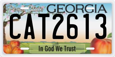 GA license plate CAT2613