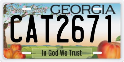 GA license plate CAT2671