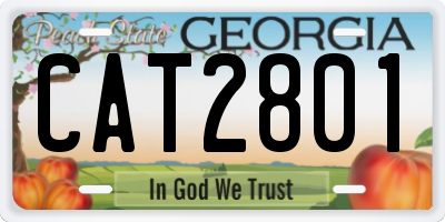 GA license plate CAT2801