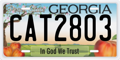GA license plate CAT2803