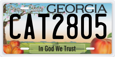 GA license plate CAT2805