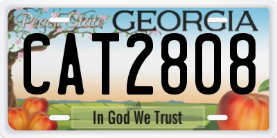 GA license plate CAT2808