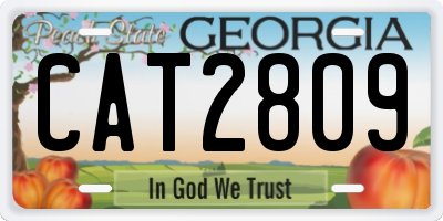 GA license plate CAT2809