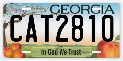 GA license plate CAT2810