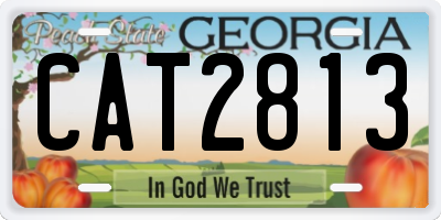 GA license plate CAT2813