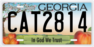 GA license plate CAT2814