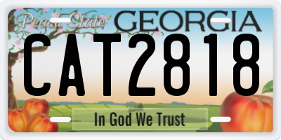 GA license plate CAT2818