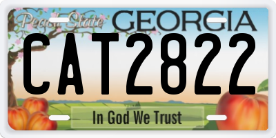 GA license plate CAT2822