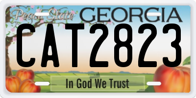GA license plate CAT2823