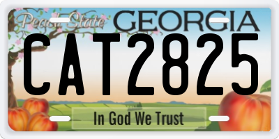 GA license plate CAT2825