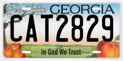 GA license plate CAT2829