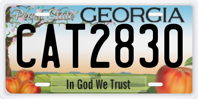 GA license plate CAT2830