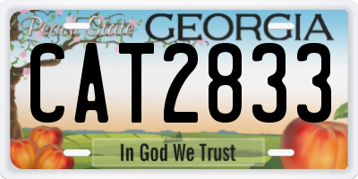 GA license plate CAT2833