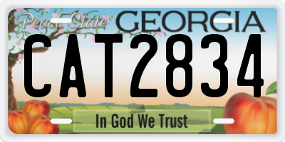 GA license plate CAT2834