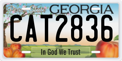 GA license plate CAT2836