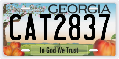 GA license plate CAT2837