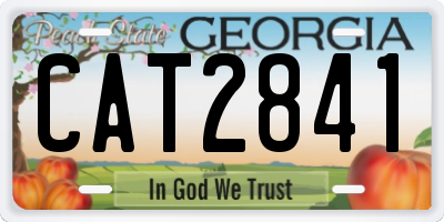 GA license plate CAT2841