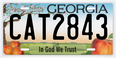 GA license plate CAT2843