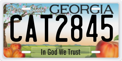 GA license plate CAT2845