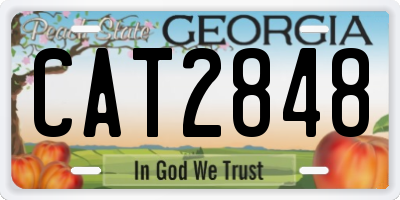 GA license plate CAT2848