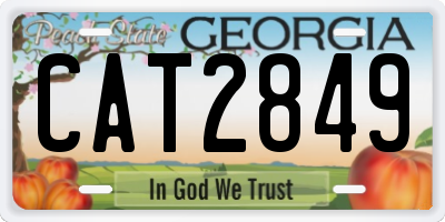 GA license plate CAT2849