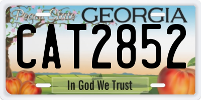 GA license plate CAT2852