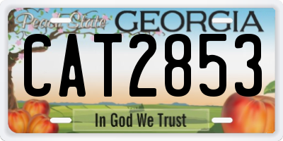 GA license plate CAT2853