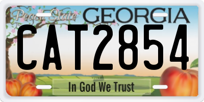 GA license plate CAT2854
