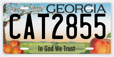 GA license plate CAT2855
