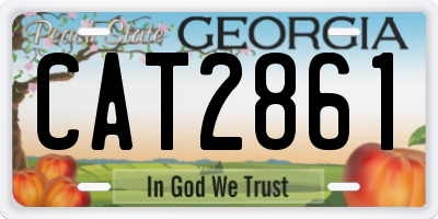 GA license plate CAT2861