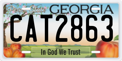 GA license plate CAT2863