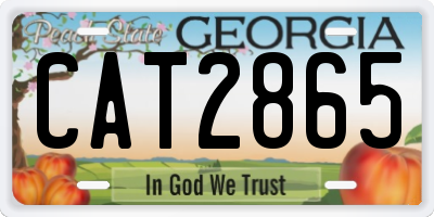 GA license plate CAT2865