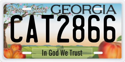 GA license plate CAT2866