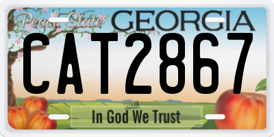 GA license plate CAT2867