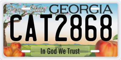 GA license plate CAT2868