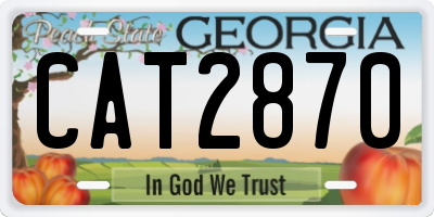 GA license plate CAT2870