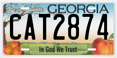 GA license plate CAT2874
