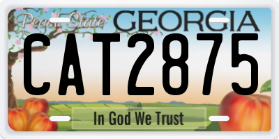 GA license plate CAT2875
