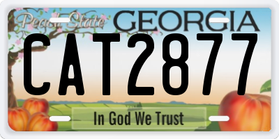 GA license plate CAT2877