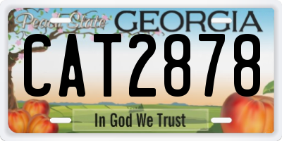 GA license plate CAT2878