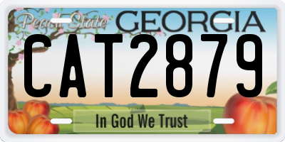 GA license plate CAT2879